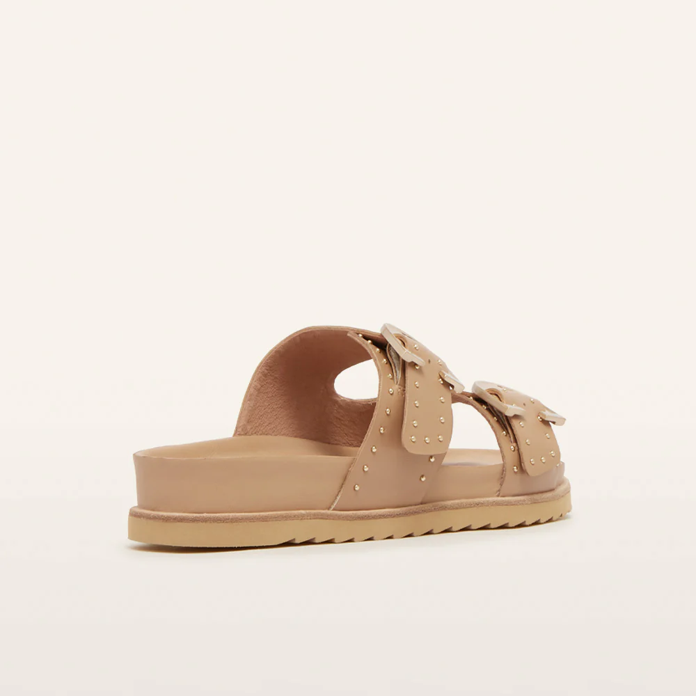 Deon Camel Stud - Image 4
