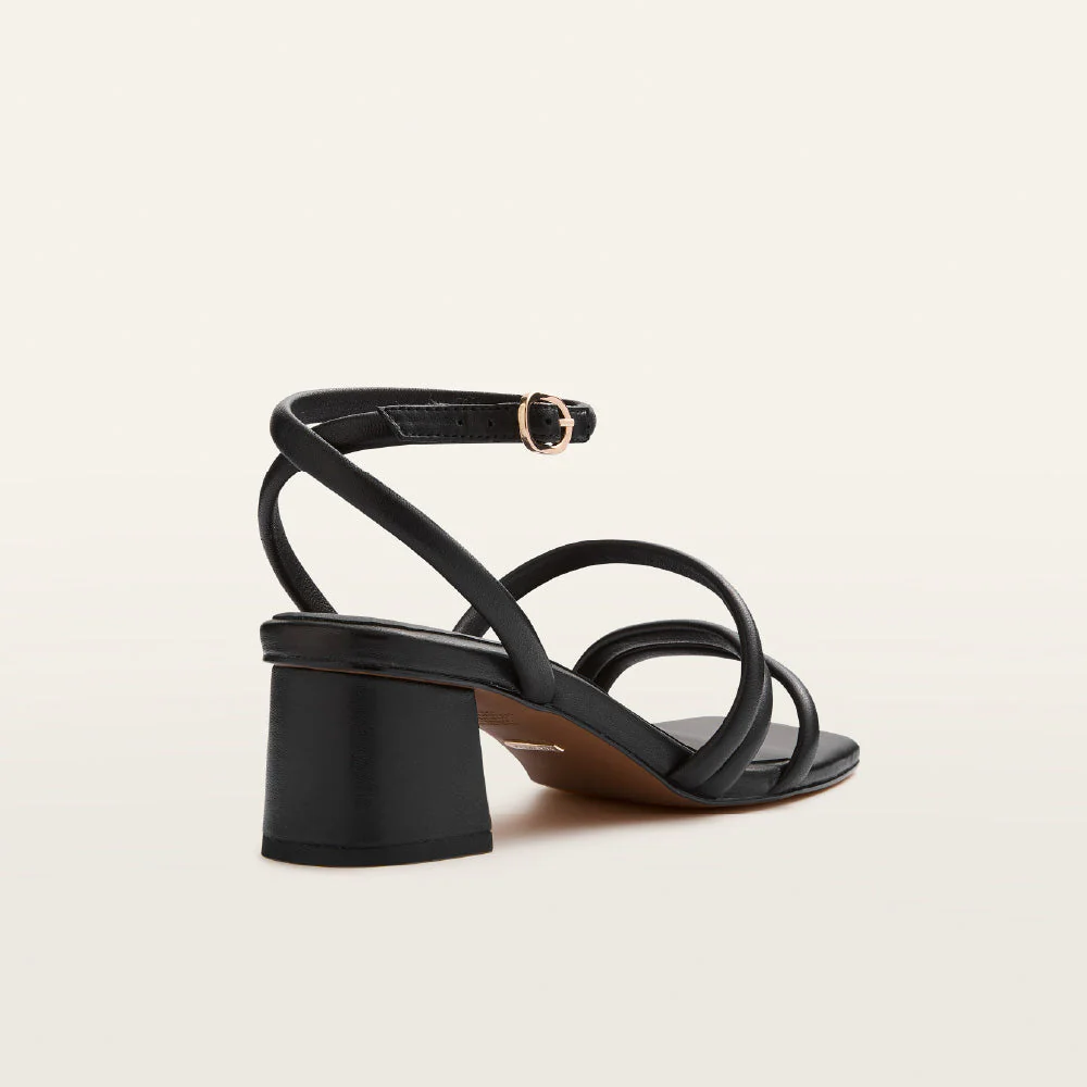 Ramsay Black - Image 5